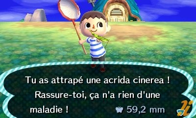 New Leaf : le nouveau nom d'Animal Crossing - Page 8 1366741605