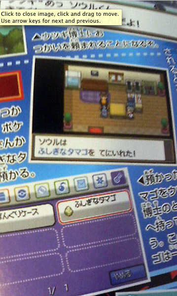 HeartGold SoulSilver Info Picture-14