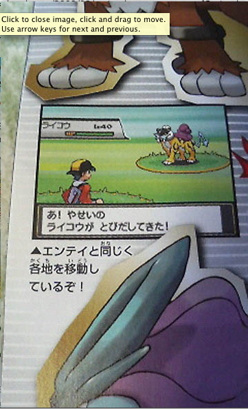 HeartGold SoulSilver Info Picture-17