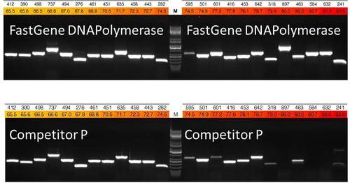 Productos PCR Fastgene-hotstart-polymerase-comp-to-p0_500x262