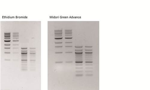 Midori Green. Adios al Bromuro de Etidio. Advance-uv-table-frau-abel-duesseldorf0_500x300