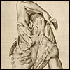 Varias imagines interesantes de Anatomia I-D-1-05