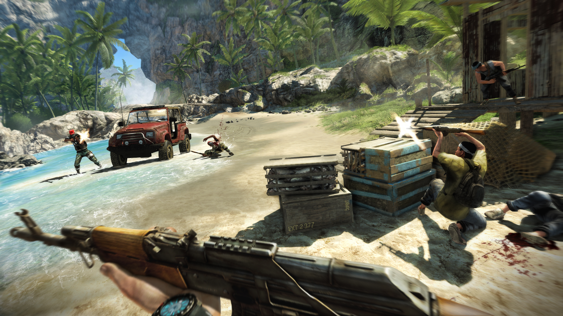 Far Cry 3 006123