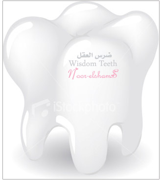 ضرس العقل * Wisdom Teeth  3