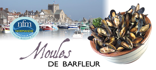 Quand j'avance tu recules, comment veux-tu, comment veux-tu que ça ULULE ? - Page 9 Moule_barfleur__072227800_0940_08012013