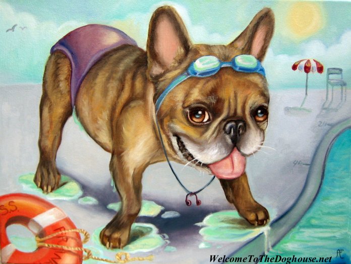 Jeux : Trouver l'Image - Page 2 French_bulldog_swimming