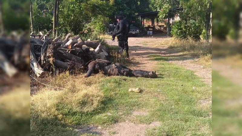 13 policias asesinados por el Cartel Jalisco Nueva Generación en emboscada y 11 desaparecidos ignorándose su suerte.... 0-grande