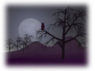 مناظر جميلة للبحر في منتصف الليل Moon-scene-feathered