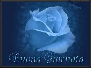 Buon Giovedì 27 Gennaio 2011 Rosablu