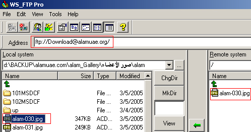 شرح عمل حساب اف تى بى جديد على نفس الموقع Cpanel_ftpmanager_alam_8