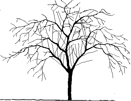 مدونة كلي فرح وجنون بك - صفحة 23 Baum5