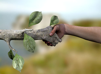 Educación Ambiental 1_1