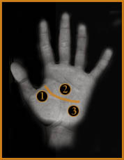 قراءة الكف بالصور و الشرح موضوع شامل لتفسير خطوط اليد Head01