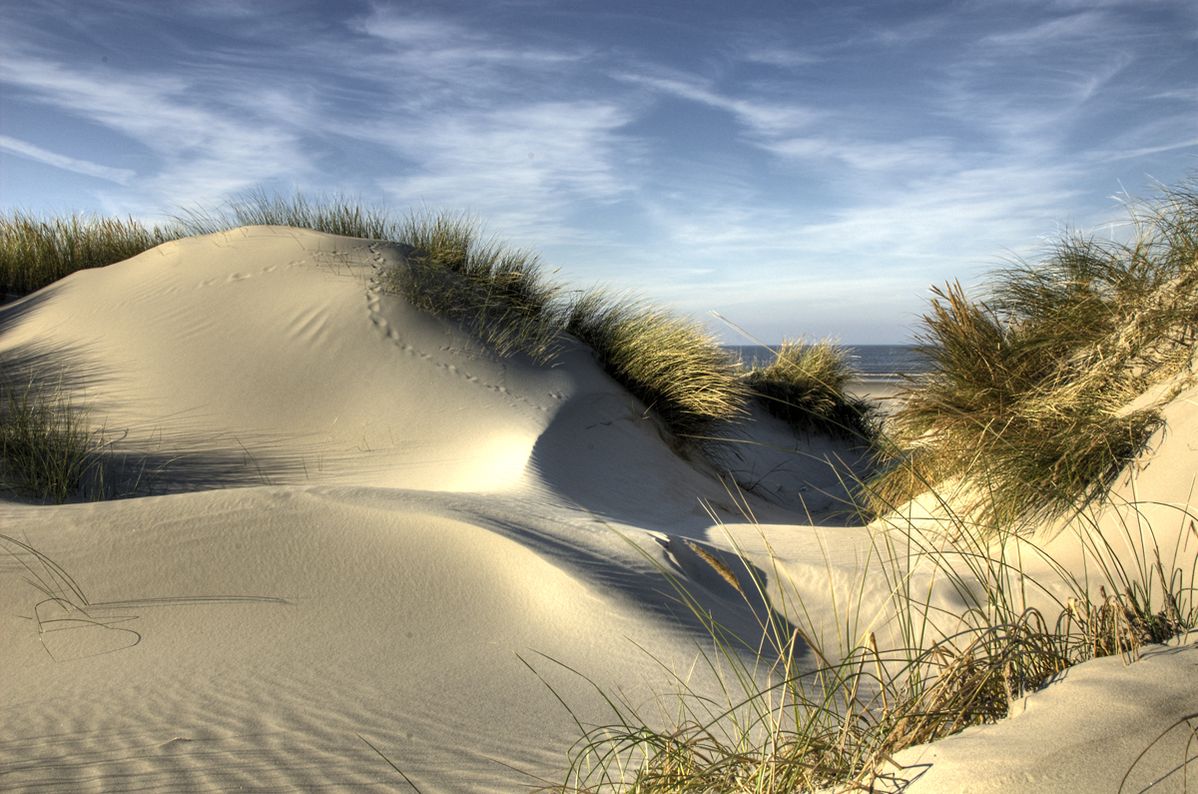 Les dunes de sables