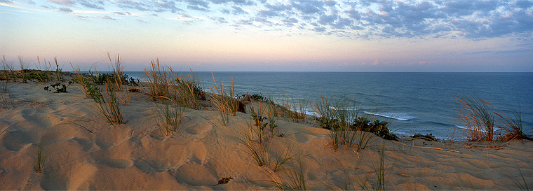 Débarquement - Page 9 Soleil-levant-au-cap-ferret