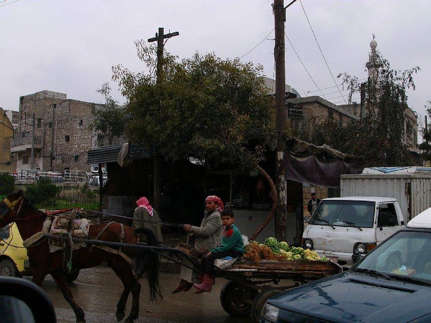 يا للروعة P1190403-VedgeCart