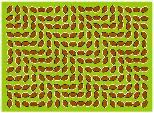 Leuke tijdverspilling in tijden van blok - Page 2 Optical-illusion