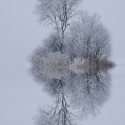 TATAkikiGAGAzette....tirelette - Page 7 One_eyeland_winter_feeling_by_norbert_maier_40291