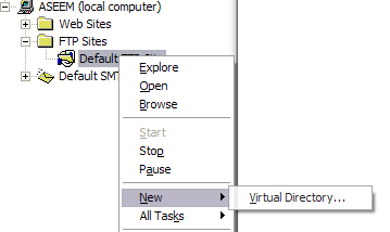 How to setup and configure an FTP server in IIS Virtual-directory-thumb