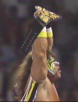 WWF Summerslam 1988 Warrior-sslam88