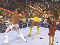 WWF Summerslam 1989 Hulkandbrutus5