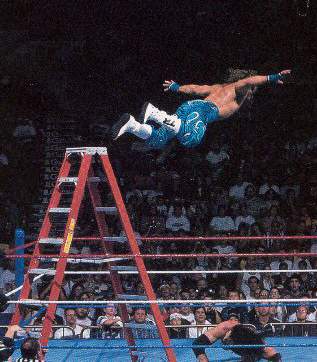 WWF Summerslam 1995 Ladder2