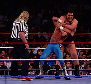 WWF Wrestlemania V Andrevsjake-bjs