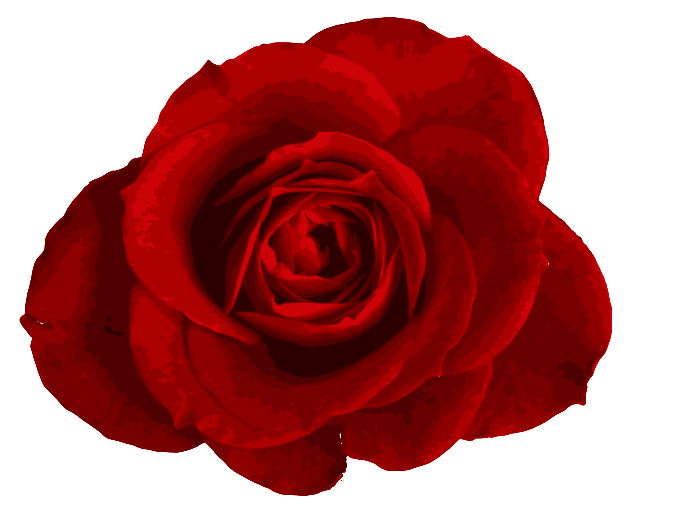 red-rose-4-1.png