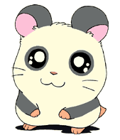 صور انمي همتارو "Hamtaro" Panda