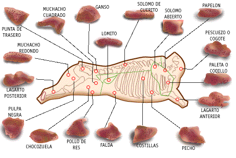 Cortes de carne Argentina/España/Venezuela Imag_CortesCoc03