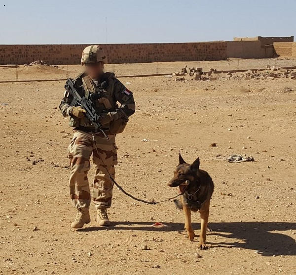 Le 132e Bataillon cynophile de l’armée de Terre organise un championnat international du chien militaire Cyno-20180929