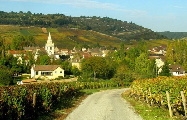 L’État islamique aurait envisagé de s’attaquer à des zones rurales françaises Village-20180627