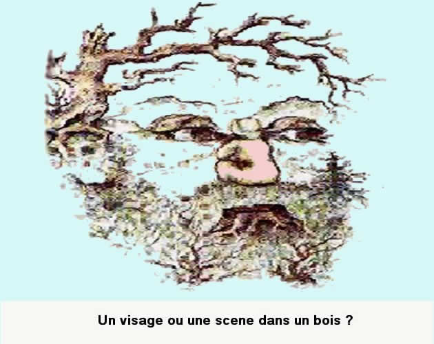 Les illusions Illusion_optique_dans_les_bois