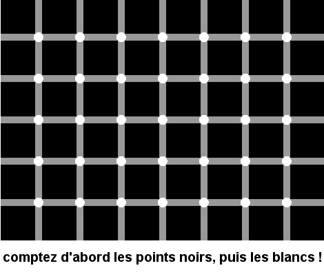 Illusion optique Illusion_optique_points_blancs_et_noirs