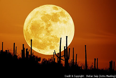 Пожелай си! Apod-saguaro-moon.th440