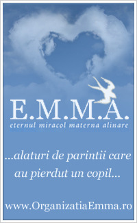 Organizatia E.M.M.A.