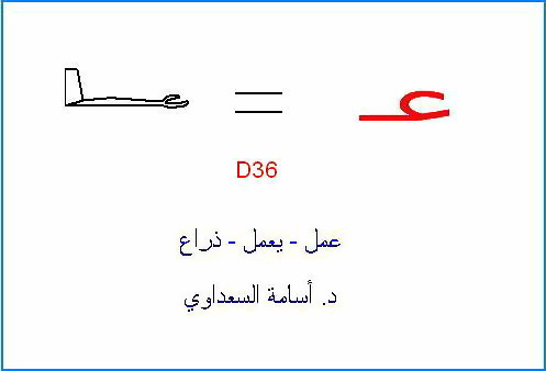 أصول حروف اللغة العربية 3ayn