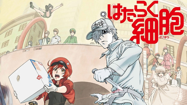 Cells At Work 16-9-cellswork