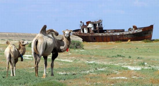 Όταν μια θάλασσα εξαφανίζεται When-a-sea-dissapears-09