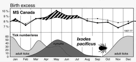 Multiple sclerosis is Lyme disease: Anatomy of a cover-up Ms-borrelia-graph11