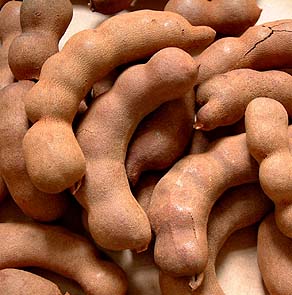 அரசரை வென்ற புளியம்பழம் : Tamarind