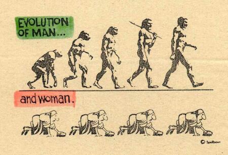 Pic - Fight ! Evolution