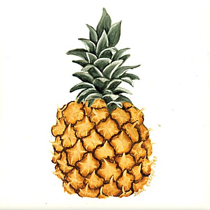 هدية لمعلمة فصل الفواكه Large_pineapple