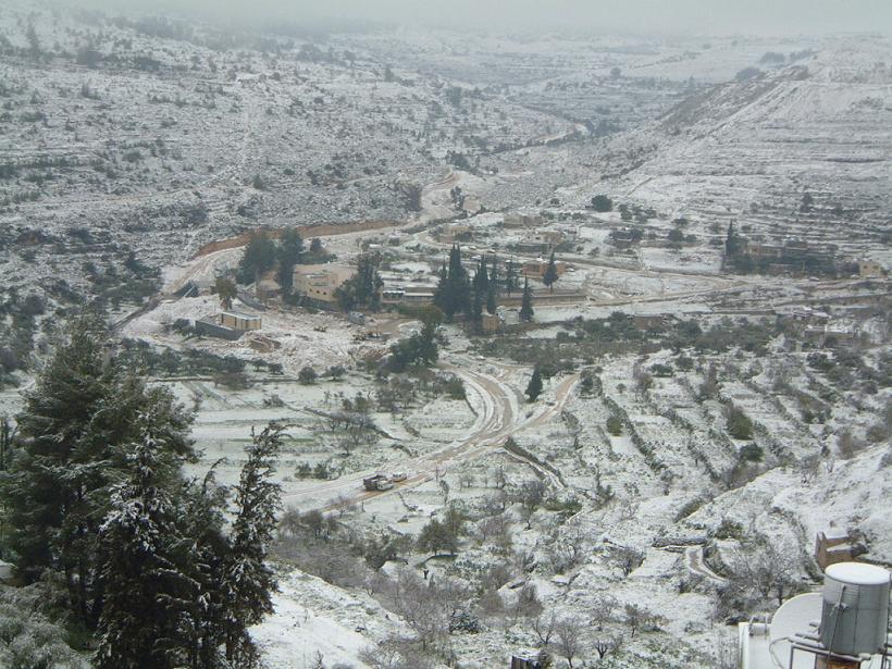   Battir-12691