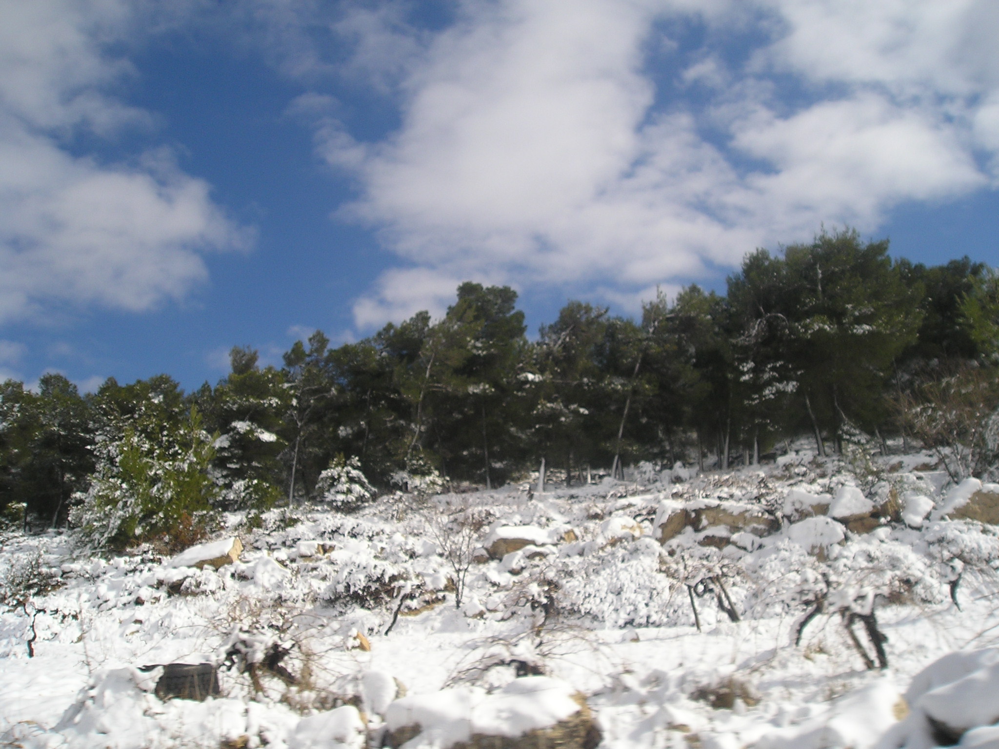   Battir-12823