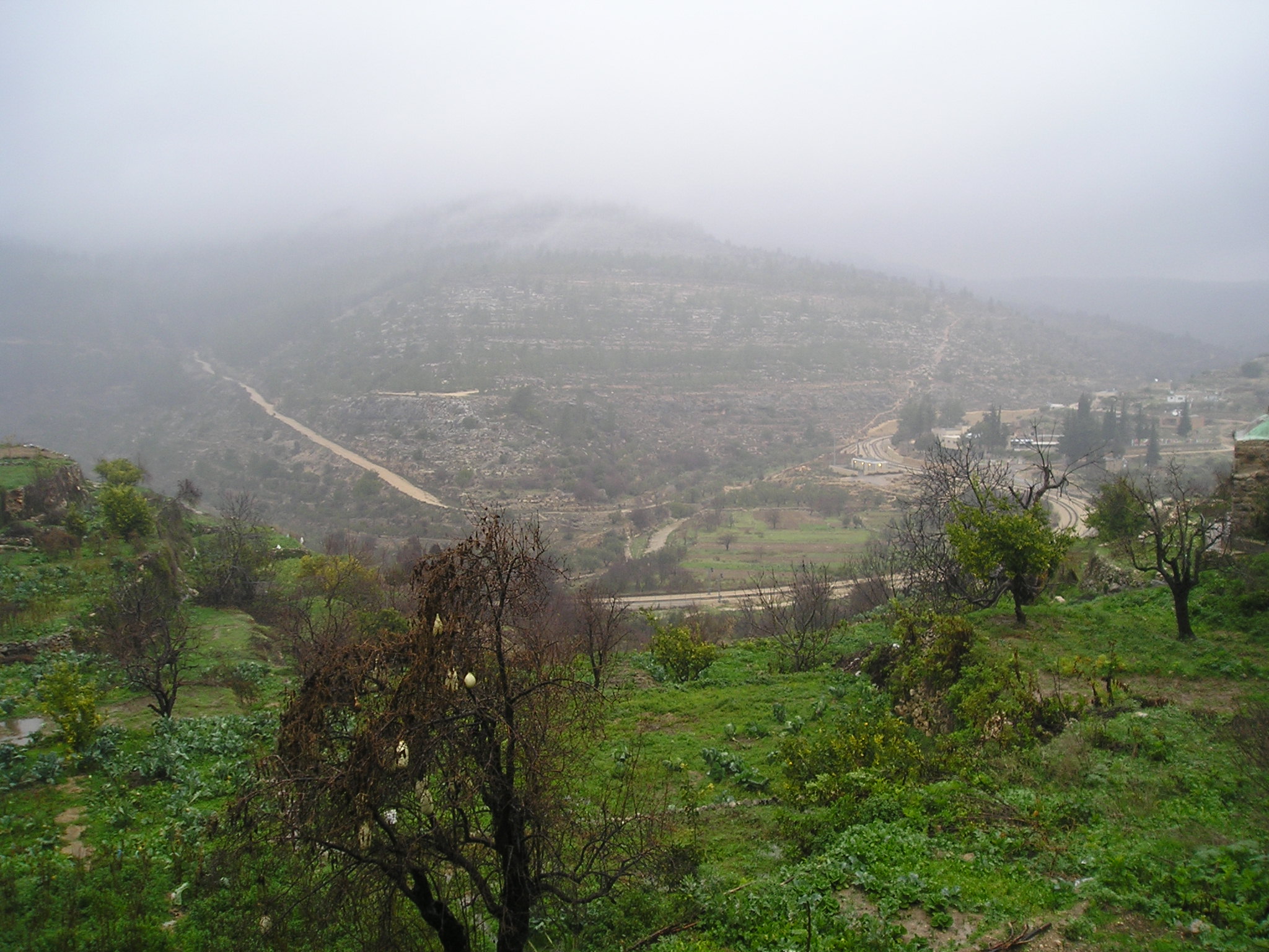   Battir-13140