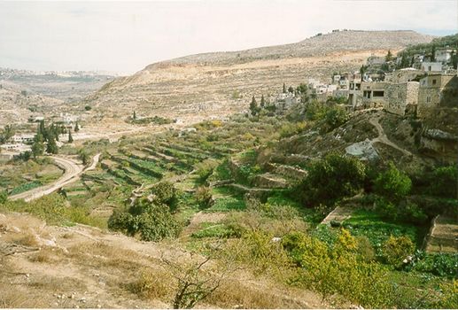   Battir-16430