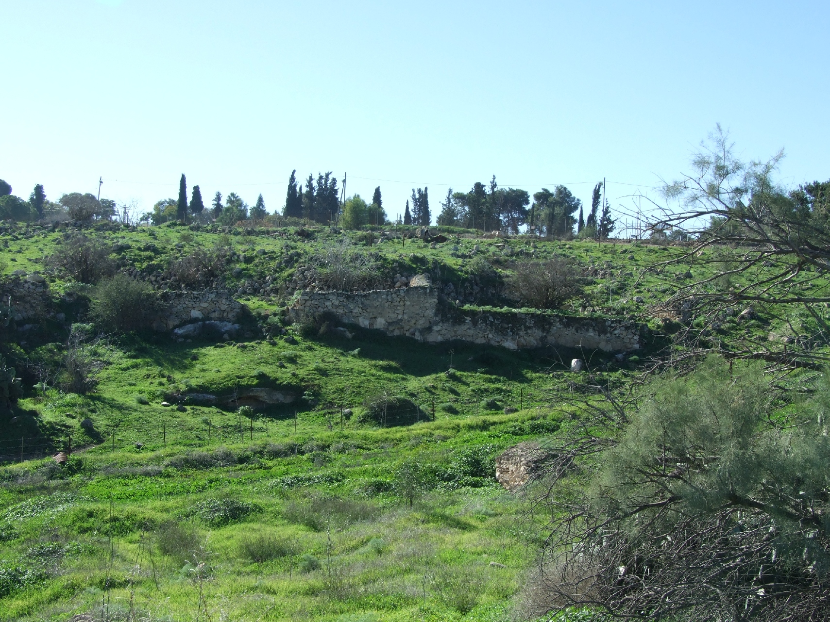 صور جديدة لقرية الدوايمة رغم الاحتلال Picture60828