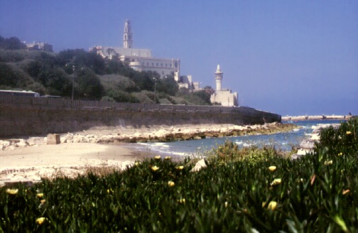  يافا عروس البحر في فلسطين Picture1731