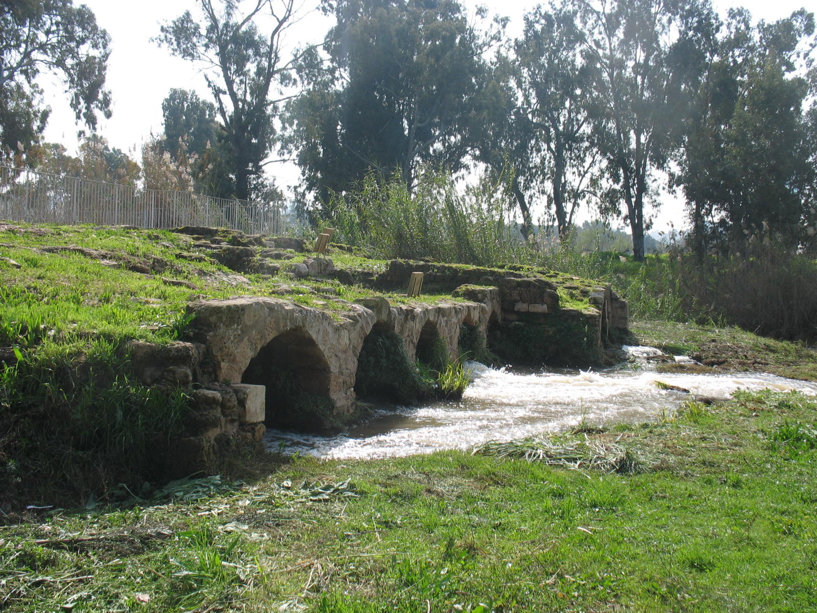  موٍضوٍع وٍثآئقى عن آلقرٍى وٍ آلمدن آلفلسطنية آلتى إحتلهآ آلكيآن آلإسرٍآئيلى عآمـ 1948 Picture16031